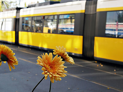 Klimaschutz-Symbolbild: Blumen und Bahn - Foto: pixelio